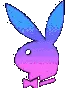 PlayboyRainbow