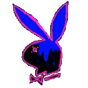 Playboycolor