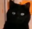 bruh