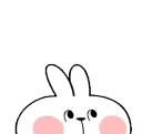 Bunny_Hmmmm