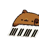 BearBongoConcert