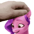 petpipp