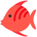 drshiny