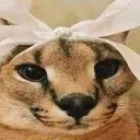 Zombie_paper_madhead Discord Emoji