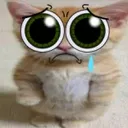 sadcat Discord Emoji