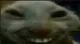 xdd