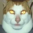 mancat