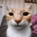 emoji_4 emoji_4