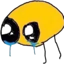 Cri2