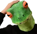 frog_confused frog_confused