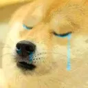 Saddoge saddoge Discord Emoji