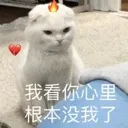 8_