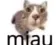 miau