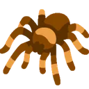 tarantula
