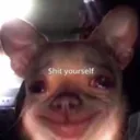 shityourself