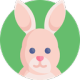 :easter_bunny~1: