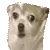 SmolHigh