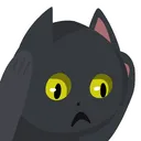 notLikeCat Discord Emoji