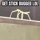 STICK_BUG