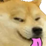 dogelick