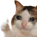 sadThumbsCat Discord Emoji