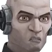 EchoDisgust