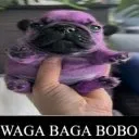 wagabagabobo