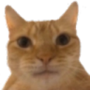 2gatoque Discord emoji
