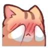 Catblush CatBlush Discord Emoji