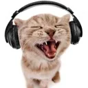 SingingCat SingingCat