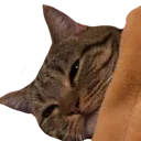 nini
