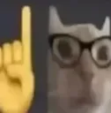 cat_ackshually