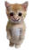 G7_Gato