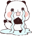 z_bearcry