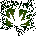 Weedpulse3
