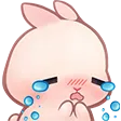 b_Cry