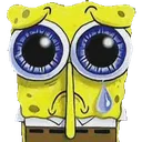 sadsponge