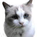 Kiki Discord emoji