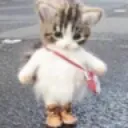 roaming