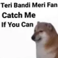 Couplesteri_bandi_ko_sambhal