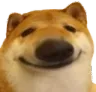 cheems