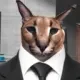 BUSINESS BUSINESS
