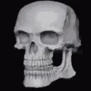 rTrollSkull rTrollSkull