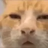 huh