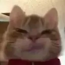 emoji_291 emoji_291