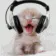 catbop catbop