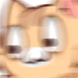 cat_zoom
