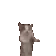 catjump2