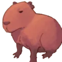 coconutdoggy