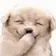 laughs